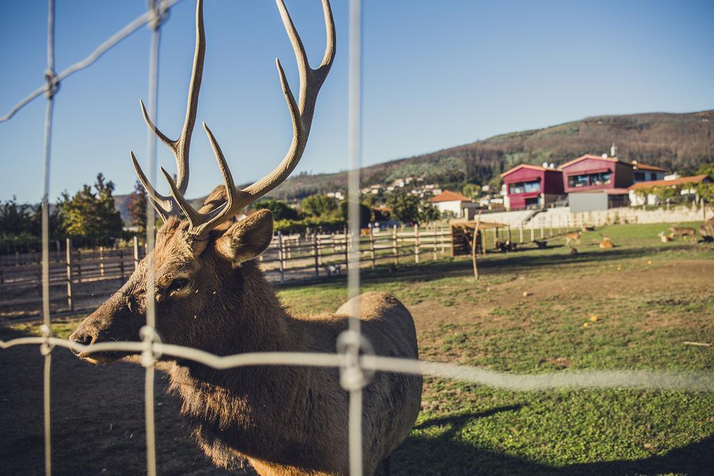 Quintas Farm Houses Arouca Bagian luar foto