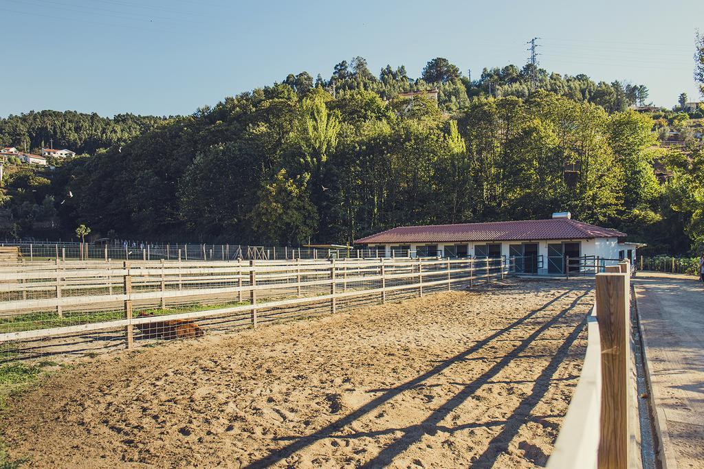 Quintas Farm Houses Arouca Bagian luar foto